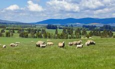 详解神仙降临人间:探究五官特征与长相之难得仙缘