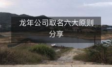 庆祝龙年公司取名:分享六大原则以帮助你精选最佳公司名称