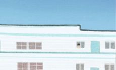 了解22朵玫瑰花语:探讨送22朵玫瑰花所代表的意义究竟是什么?