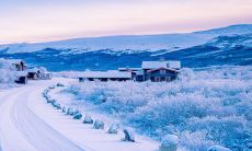 2023年高考顺利的生肖预测:属猪人将会遇到伯乐,获得人生重大转机!