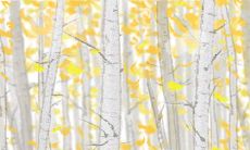 2016年小年最全的祝福语汇总及热门的小年祝福短信推荐