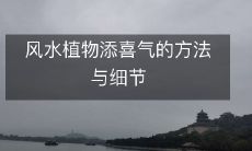 想让家中风水旺旺,不妨从添置植物下手!本文将详细介绍如何选购适合风水的植物以及相关的细节与注意事项,让您的家居环境呈现出更为祥和、美丽的气息