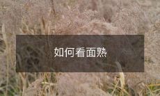 如何分辨那些看起来面熟但实际上你却记不起或不认识的人?