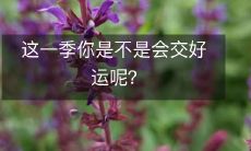 这一季是否会带给你意想不到的好运和幸福呢?
