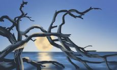 十二星座女性中令人着迷的最佳身体部位列表