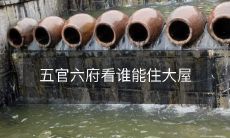 比拼五官和六府,谁能有资格入住这座豪华大屋?