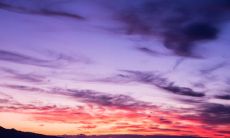 2023年生肖鼠最为幸运,职业发展前景广阔,机遇倍增!