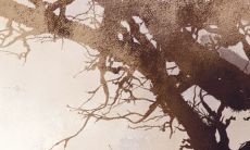 探究情人节出生女孩在命运中的性格特征:2023年将会展现什么样的个性特质?