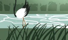 不宜在本命年穿戴的饰品汇总:超全本命年佩戴禁忌大揭秘!