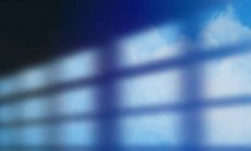 正月十一出生的男孩阳性属性是否强大?是否会吸引人群助力?