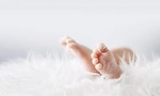 探究1976年是否有闰月,以及1976年出生的人的命运如何