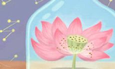 了解腊八节的传统习俗:在这个节日,人们通常会享用哪些美食呢?