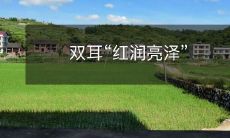 护耳必备:让双耳绽放“红润亮泽”的秘笈