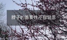 认识脖子的重要性,保护好它的健康始终关乎整个身体的稳健运转!