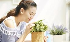 深度解析:揭秘四绝日的禁忌和意义,带你了解这一古老传统及其文化背景!