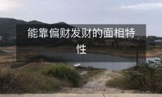 揭示面相特征:如何凭借偏财走向人生财富之路?