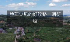 发现一种罕见而漂亮的脸部纹路——朝笏纹