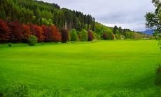 可能是什么迹象表明风象星座已经坠入爱河并深深爱上某个人了?