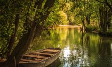 属鸡女适配何种生肖更佳?搭配属鼠男性情愫纯真,关系亲密融洽