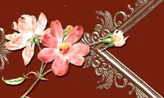 与女猴最佳匹配的生肖是什么?配合属蛇男,能使感情持久长久!