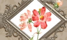 探讨生肖蛇男最佳配对选项:属蛇女与之擦出爱情火花,感情深厚、心有灵犀!