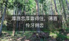 厚唇坚定忠诚可信赖,薄唇机智伶牙俐齿不容小觑