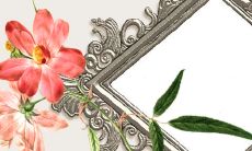 最好的配对是属羊的人和生肖猪,他们之间的感情非常甜蜜!