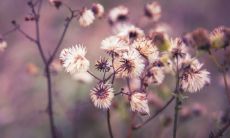 通过对正月初八出生女子的命与性格的探究,揭示出孩子未来可能展现出的特征与行为,以期帮助家长更好地了解和指导孩子的成长