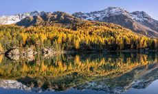 2023年正月初六出生的人与佛祖有何缘分?在这一天定光佛的生日,探究生肖、星座与佛教信仰的交集