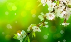 的女性面相特征是怎样的?她们的额头饱满且富有肉质,这是她们成为旺夫女人的一个显著特征!