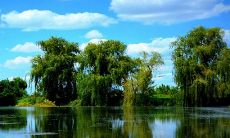 2023年正月初五诞生的女孩具备丰富才艺,傲视同龄人,凭借才华与勤奋将赢得更加辉煌的未来!