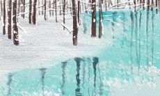 属猴的人在2016年猴年本命年将会经历怎样的运势?