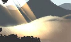 独家揭秘:完整详细的属猪女生属相婚配表,让你轻松找到最佳姻缘!