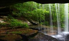 虎和牛的属相合不合?他们的关系可以相称为相互包容与理解的互助模范!