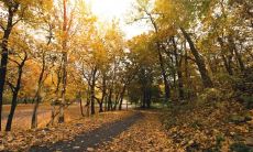 挑选吉日:依据满执位,决定幸运或不幸运的方法是好是坏?