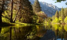 什么生肖适合与属龙人搭配?属鼠人的生活幸福指南