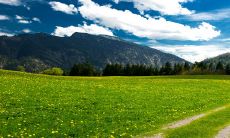 当生肖龙与龙相伴,情缘旺盛,恋爱命运大好!