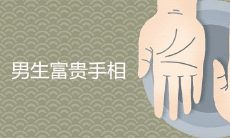 探究富贵命格从手相入门,全面介绍男士手相解析技巧,助你轻松读懂财富之路!