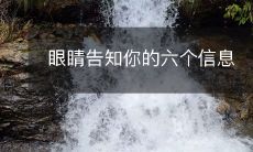 通过视觉说话:六种信息可以从眼睛中获取