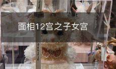 通过面相来解读人的特质和优点:探索面相中的12宫之子女宫