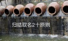 遵循二十条归结取名原则,提升品牌命名的精准性与效果