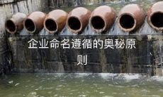 揭秘企业命名的神秘法则:遵循的原则、策略及其背后的逻辑!