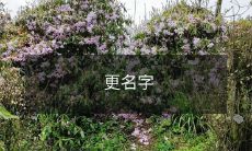 改变名字:重新定义自我身份的行为