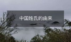 凭祥典故、民间传说和历史文献揭秘中国姓氏的由来及其演变历程