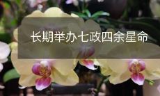 期举办“七政四余星命”活动,向古代天文文化致敬