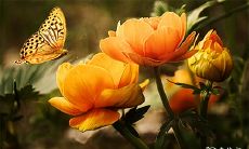 本命年红绳:能否沾水?是招鬼还是辟邪?如何正确使用?