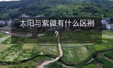 太阳与紫微星座的不同之处是什么?