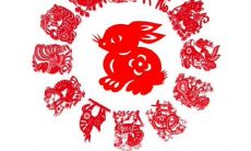 探讨2023年5月哪个数字和颜色对兔人有利,以便优化其生活、工作和健康表现