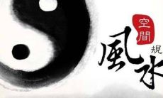 家居风水的绿植选择:是否适合养富贵竹,以及其他适合在家里养的花草种类选择