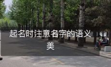 起名时要注意名字所传达的意义之美:命名的艺术指南